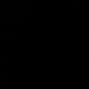 Meet your Posher, Yadira